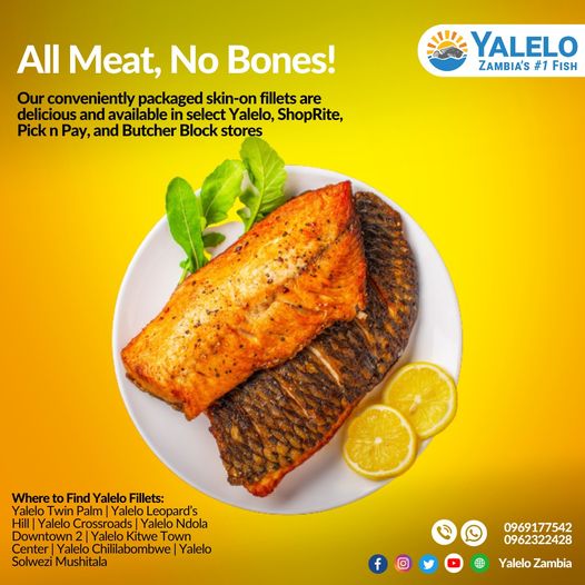 Fish Fillets
